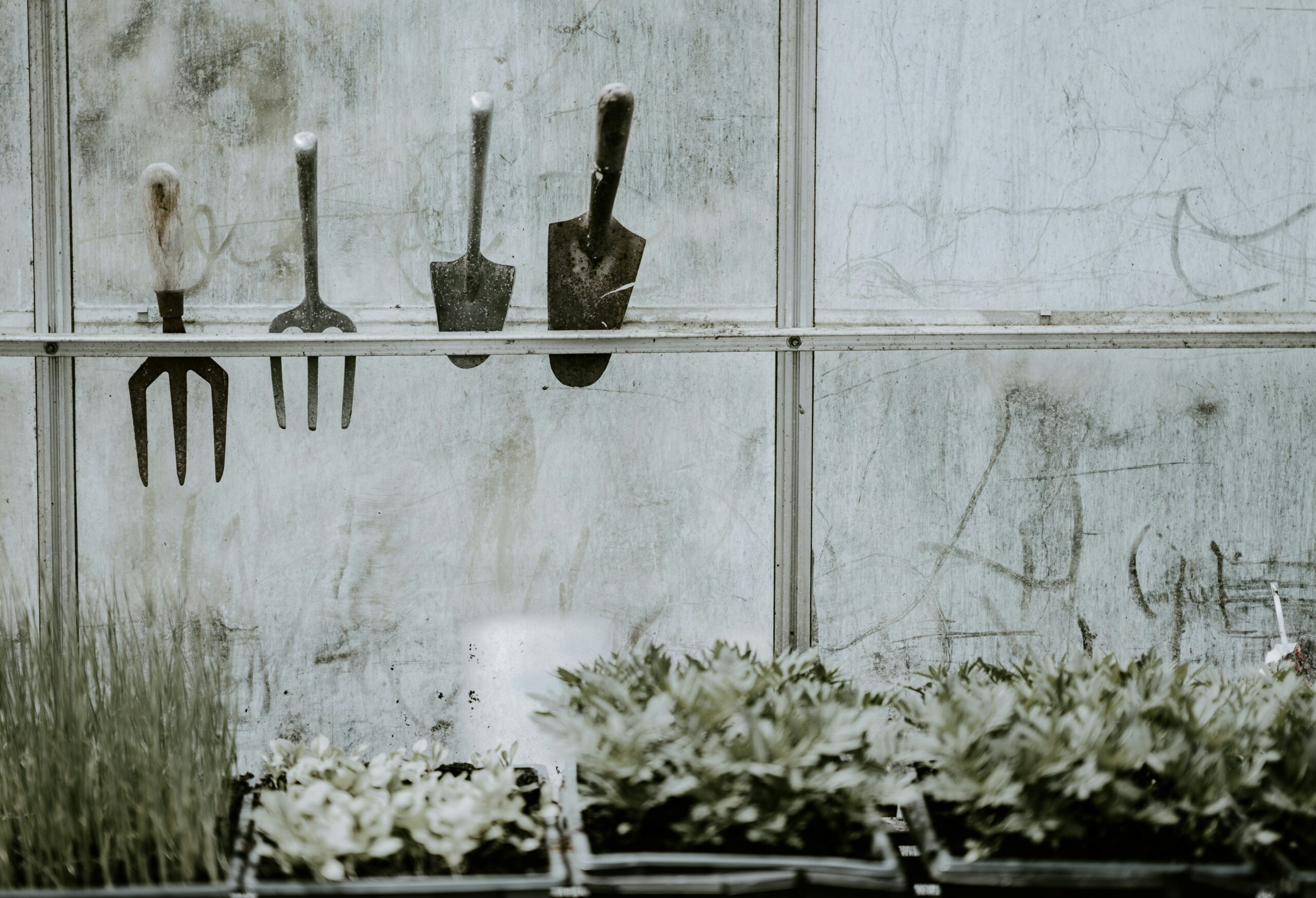 A gauging trowel hung on a window with other various equipment.